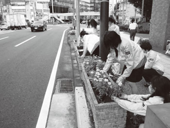 植栽の様子