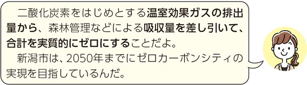 二酸化炭素をはじめとする温室効果ガスの排出量から、森林管理などによる吸収量を差し引いて、合計を実質的にゼロにすることだよ。新潟市は、2050年までにゼロカーボンシティの実現を目指しているんだ。
