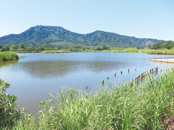 上堰潟公園