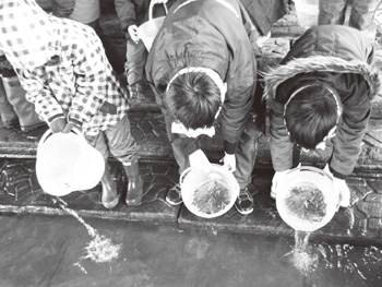 信濃川サケ稚魚の放流祭