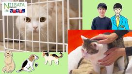 2月15日放送回のサムネイル画像。クリックすると動画にリンクします。
